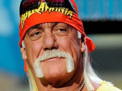 Hulk Hogan Online Wrestling Hulk Hogan Online Wrestling