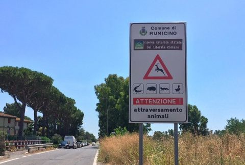 Coccodrillo avvistato nel canale di Maccarese: adesso cè la foto