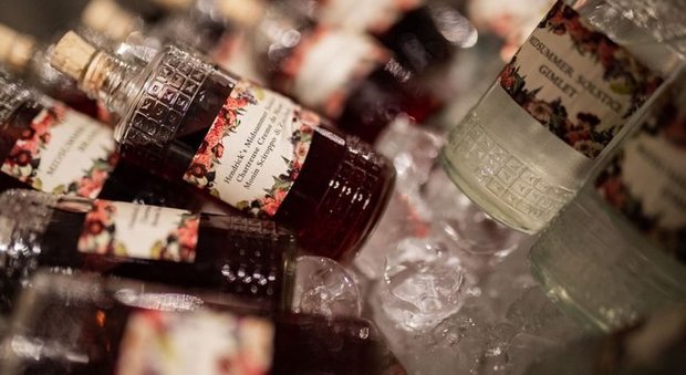 Incontri bottiglie di gin caso